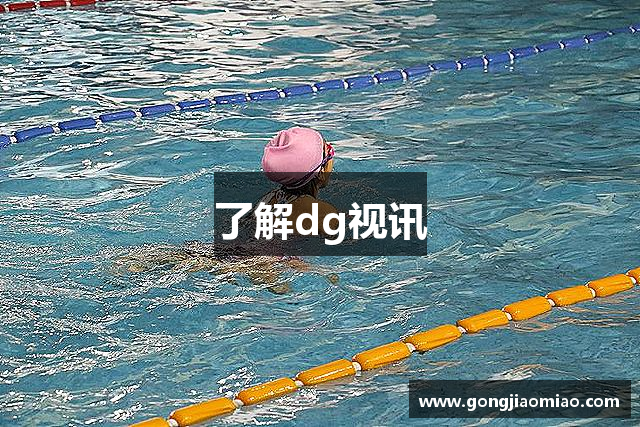 了解dg视讯